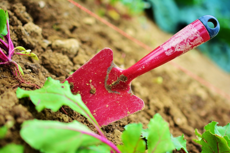 sasu-FONTAN-min_gardening-2448134